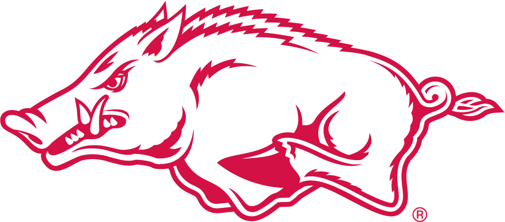 Arkansas Razorbacks 2001-Pres Alternate Logo v2 iron on transfers for fabric